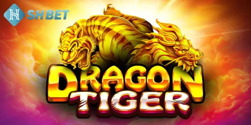 Các mẹo chơi rồng hổ hiệu quả tại SHBET