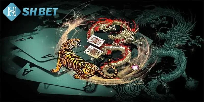 Bí quyết sử dụng thuật ngữ rồng hổ hiệu quả