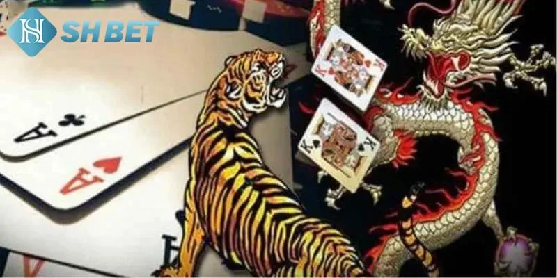 Tìm hiểu về thuật ngữ trong trò chơi rồng hổ